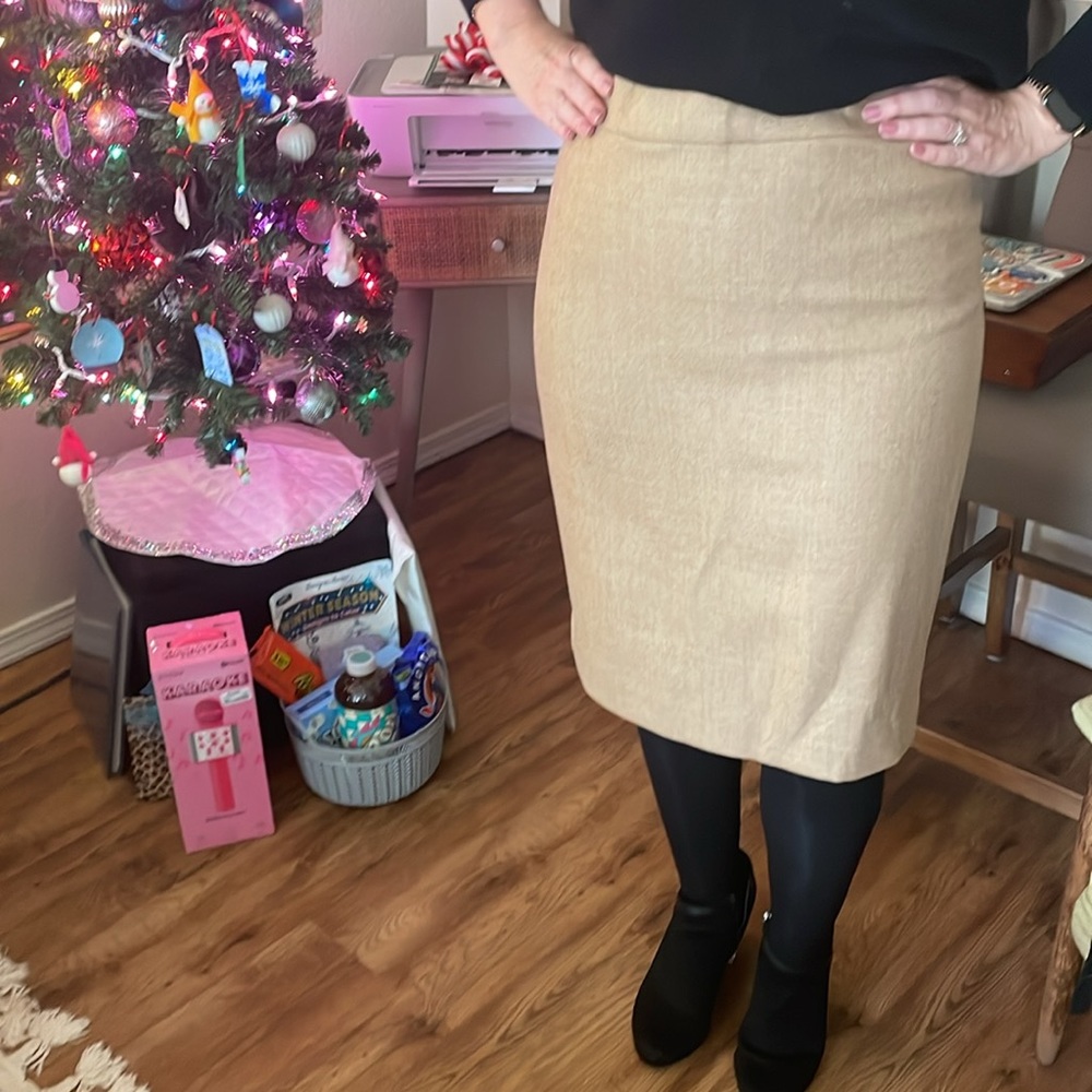 J crew NWT size 8 wool skirt
